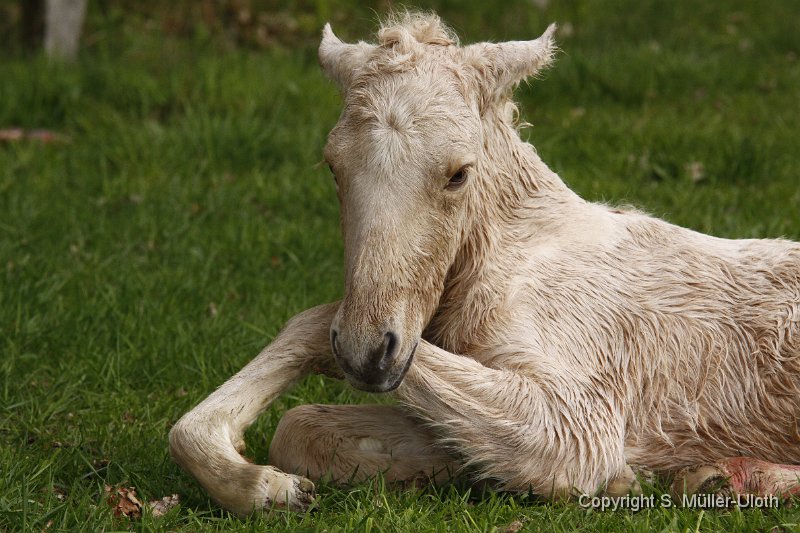 Hjoerdis 46 Min alt_MG_0149 (2).JPG